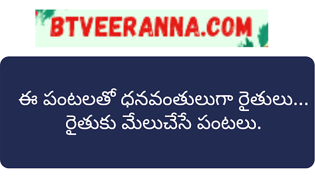 రైతుకు మేలుచేసే పంటలు