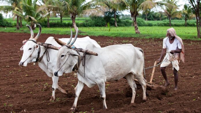 పీఎం కిసాన్ పథకానికి ఎవరు అర్హులు? ఎవరు అనర్హులు?