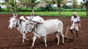 Indian Formers PM KISAN 696x391 2