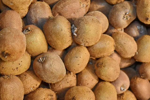 తానికాయతో అనారోగ్య సమస్యలకు చెక్