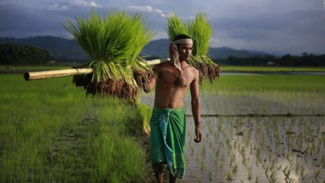 రైతులకు ఏపీ ప్రభుత్వం శుభవార్త!
