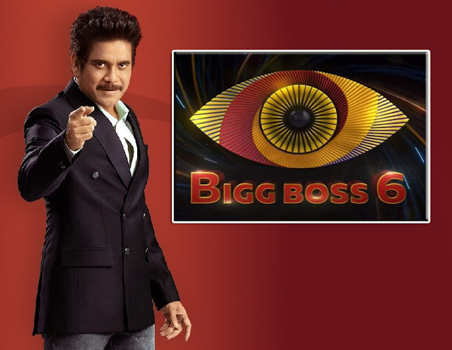Bigg Boss 6 Contestants List With Photos బిగ్ బాస్ 6