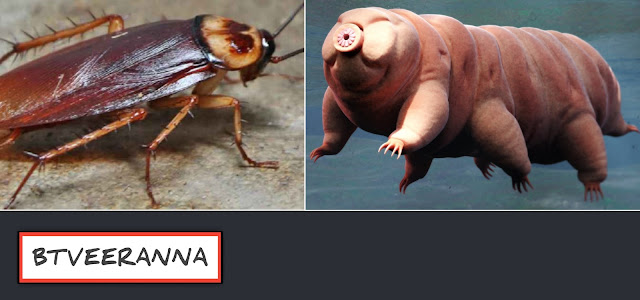 ఎకడైన బతకగల జీవి ఎదో మీకు తెలుసా ?